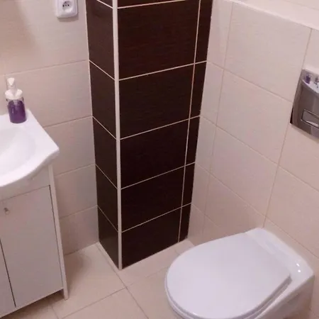 New Close To Downtown And Zoo אוסטרבה